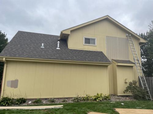 siding repair and home painting millard